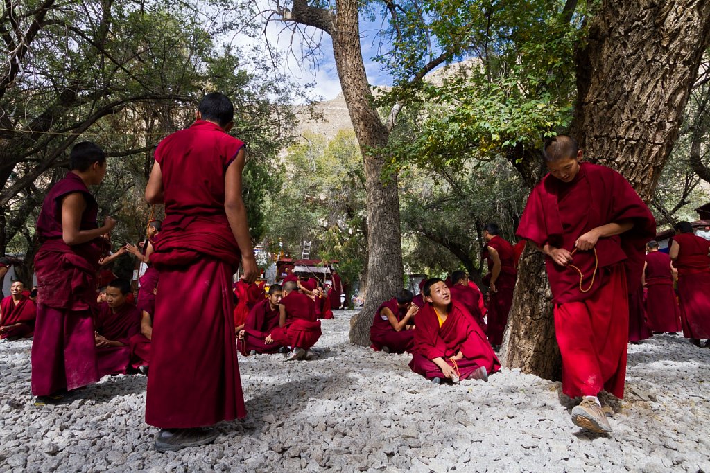 discussion ritual, Sera Monastery